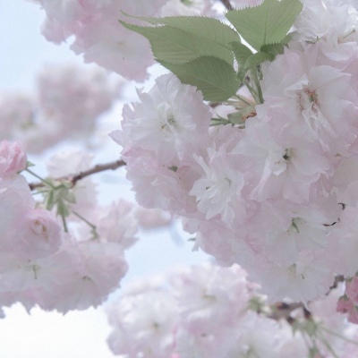 Furry绘画质感提升兽圈社群